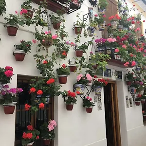 Buhardilla De Wallada Apartment